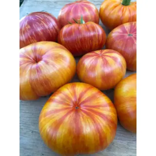 Tomato - Worry (Seed)