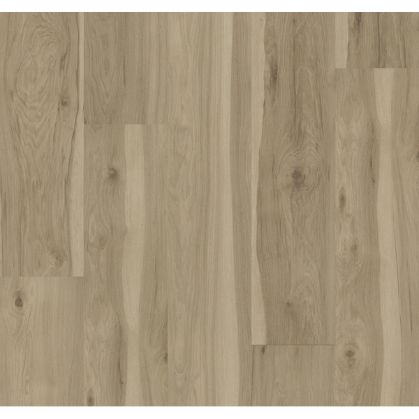 Trace Collection Hickory Stone