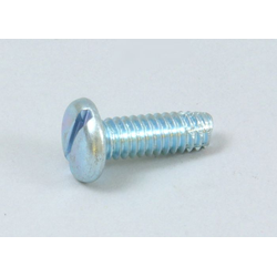 Screw