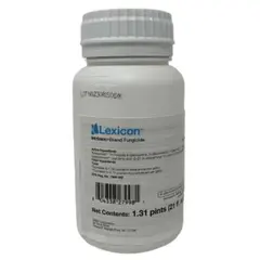 Lexicon