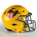 Matte Chrome Football Helmet Decals