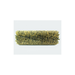 Broom, 24" 18 Sr Union