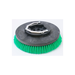 Brush, 11.5" Poly W/Plate