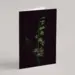 Plant Greeting Cards