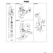 PN80