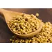 BEE POLLEN | 5 LBS