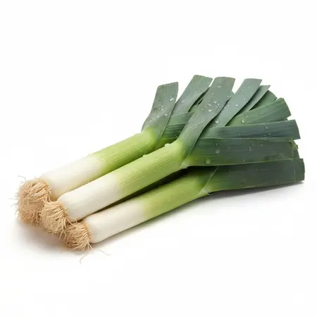 ONIONS LEEKS OG | 20 LBS