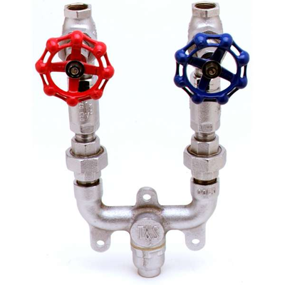 T&S Brass MV-0771-12C Mixing Valve Assembly 3/4" Check Valves