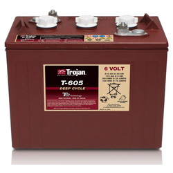 Tennant/Nobles - 4034931 - Battery, Wet, 6Vdc, 210Ah, C/20, W/Ca (Replaces Tennant 1227180)