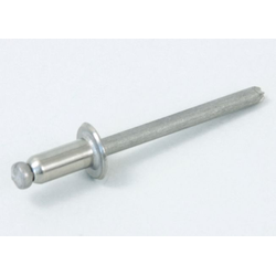 Rivet