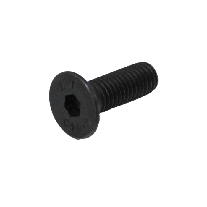Screw M8x20 (RE-MXAA82427)