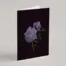 Plant Greeting Cards