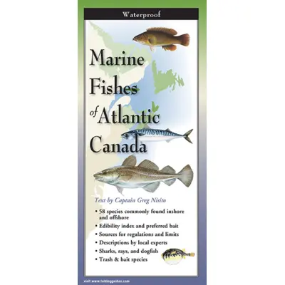Marine Fishes Of Atlantic Canada