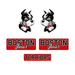 Custom Hockey Helmet Decal Sets