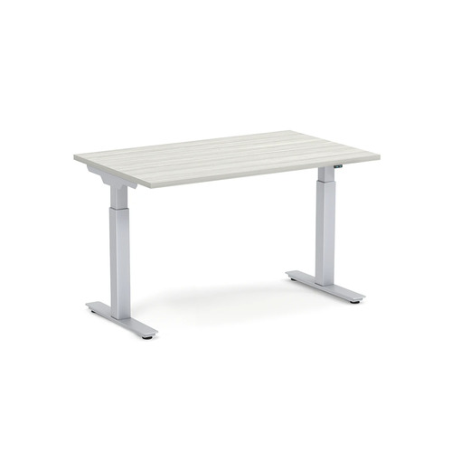Echo Electric Sit-Stand Desk 30" X 48" - Silver Birch