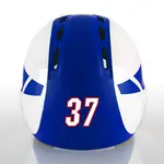 2 Color Custom Font Die Cut Number Decals
