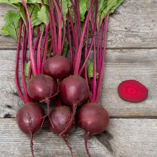 Beet - Boro (Organic Seed)