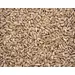SUNFLOWER HULLED OG | 5 LBS