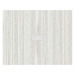 PL437THALF 47" x 60" CONFERENCE TABLE TOP - Silver Birch