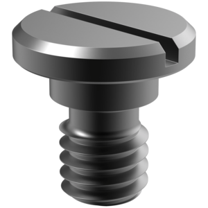 Lockscrews and Clamps