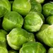BRUSSELS SPROUTS OG | 10 LBS