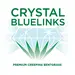 Tee-2-Green Crystal Bluelinks Premium Creeping Bentgrass