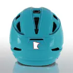 2 Color State Shape Decals