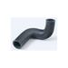 Lower Radiator Hose