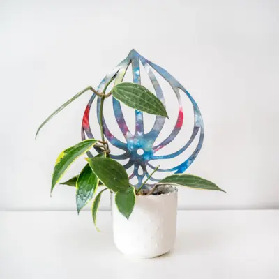 Peptrella Wooden Plant Trellis