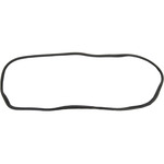 Windshield Gasket