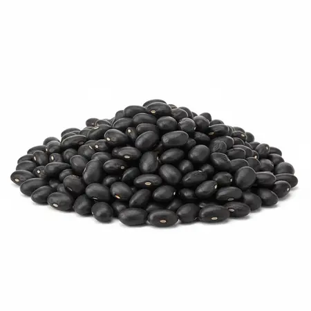 BEANS BLACK TURTLE OG ARGENTINA | 25 LBS