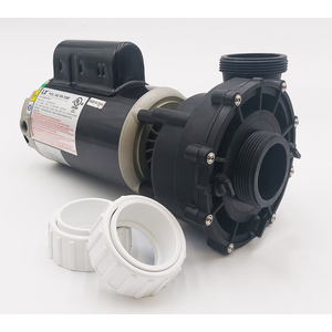 LX 48WUA 115V 1 Speed Pump 10-48WUA151-NF1