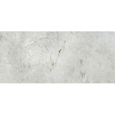 12X24 Talya Light
