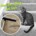 Room Groom Carpet Rake and Groomer with Telescoping 54 Inch Adjustable Handle, Portable Design, Carpet Brush Ideal for Pet Hair, Refreshing Carpets, Rugs, and Artificial Turf