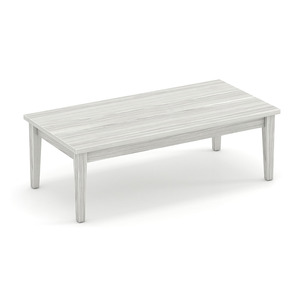 PL219 24x49 COFFEE TABLE- Silver Birch