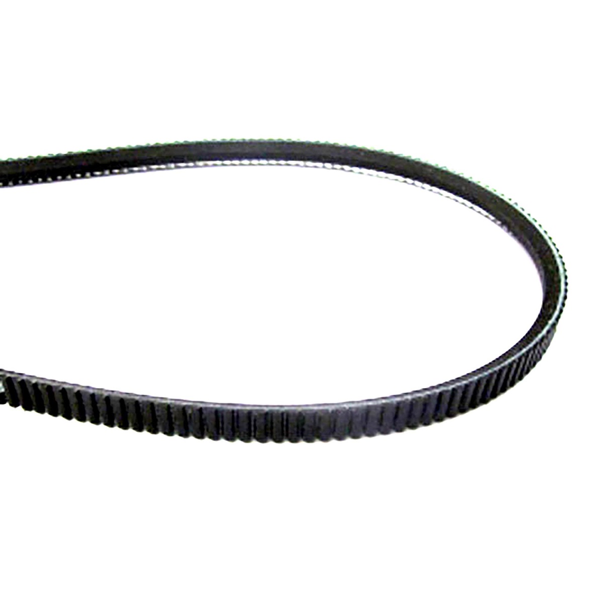 CCI Rears Pump Belt 45"